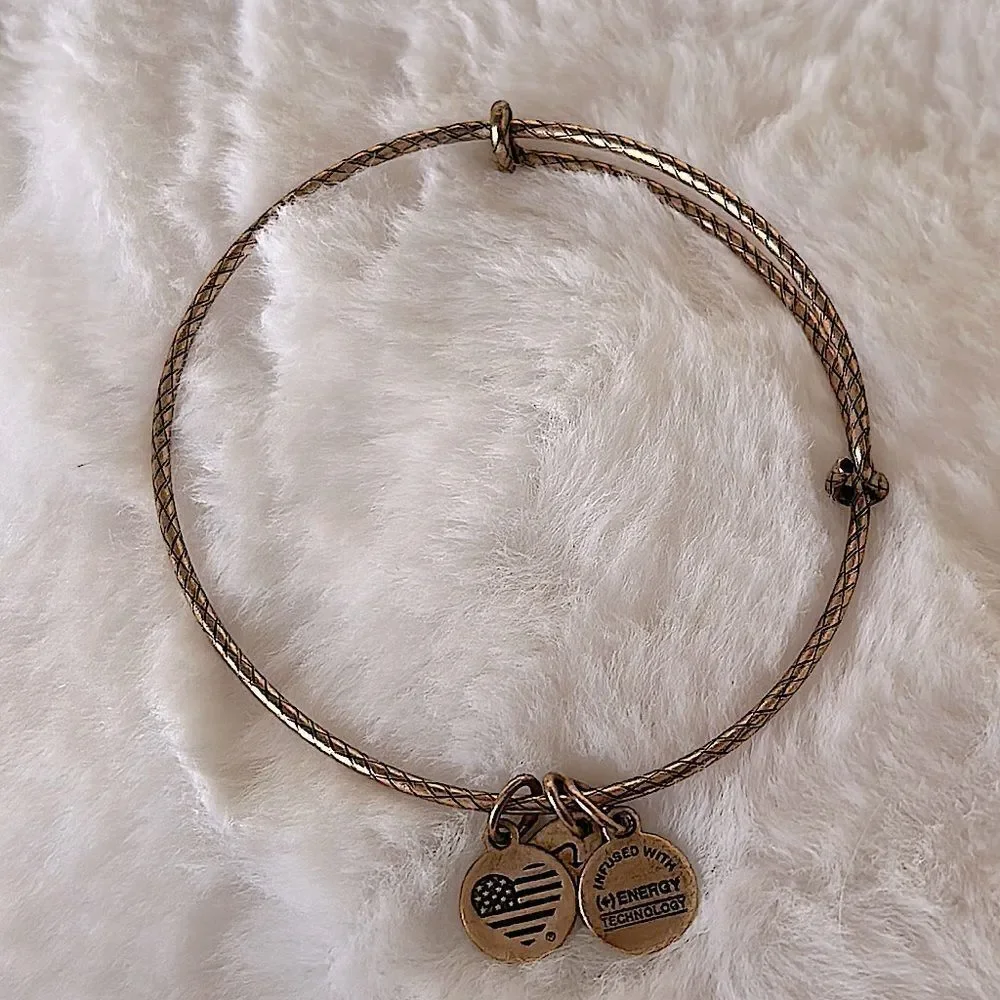 Alex and Ani Gold Bangle Bracelet!